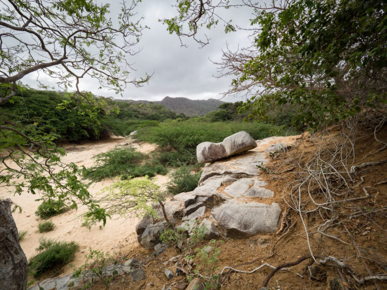 Guajira desert classic Tour: our travel guide and feedback