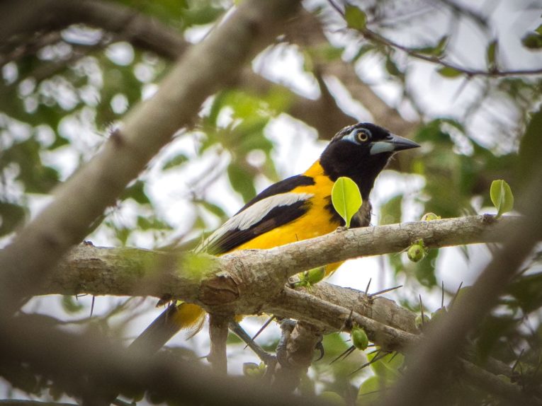 Guajira desert classic Tour: our travel guide and feedback