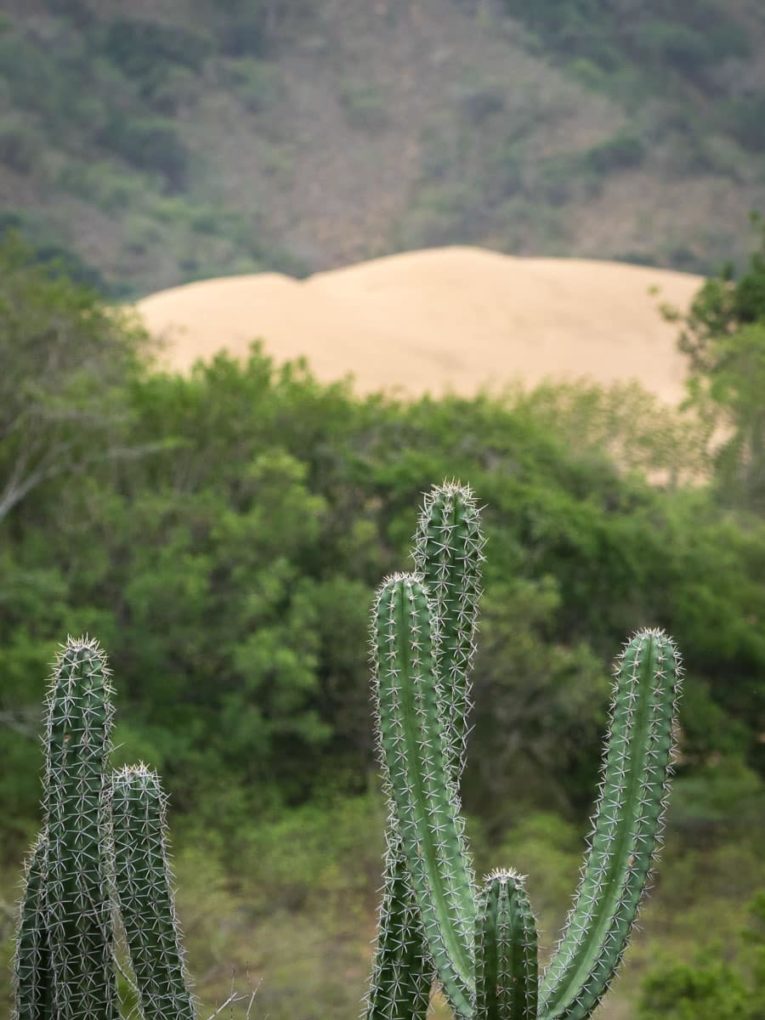 Guajira desert classic Tour: our travel guide and feedback