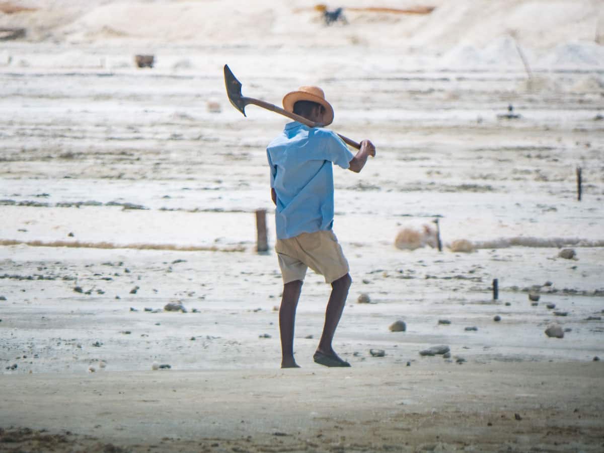 Guajira desert 4-day Tour: our travel guide and feedback Guajira desert 4-day Tour: our travel guide and feedback