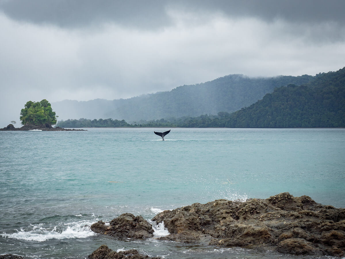 8 off-the-beaten-path destinations to discover in Colombia