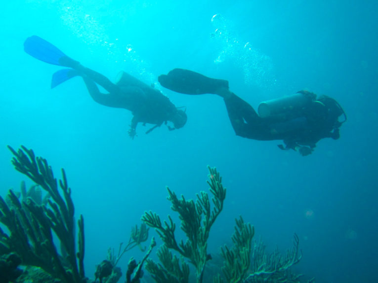The 7 best scuba diving spots in Colombia travel guide