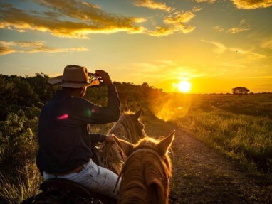 Visit Casanare travel guide: wildlife Safari in the heart of the Llanos
