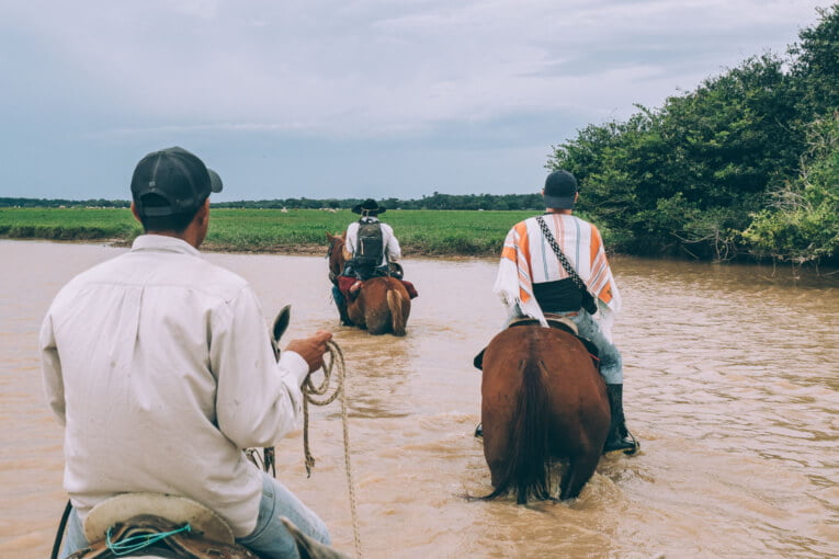 Visit Hato Los deseos travel guide: natural reserve in Casanare