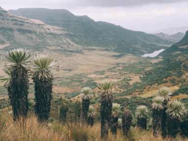 Paramo de Oceta travel guide: one of the best hikes in Colombia