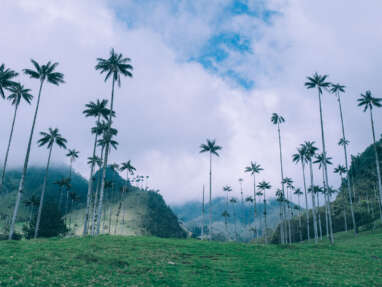 Cocora Valley Travel Guide: hiking in one of the most beautiful landscape of Colombia