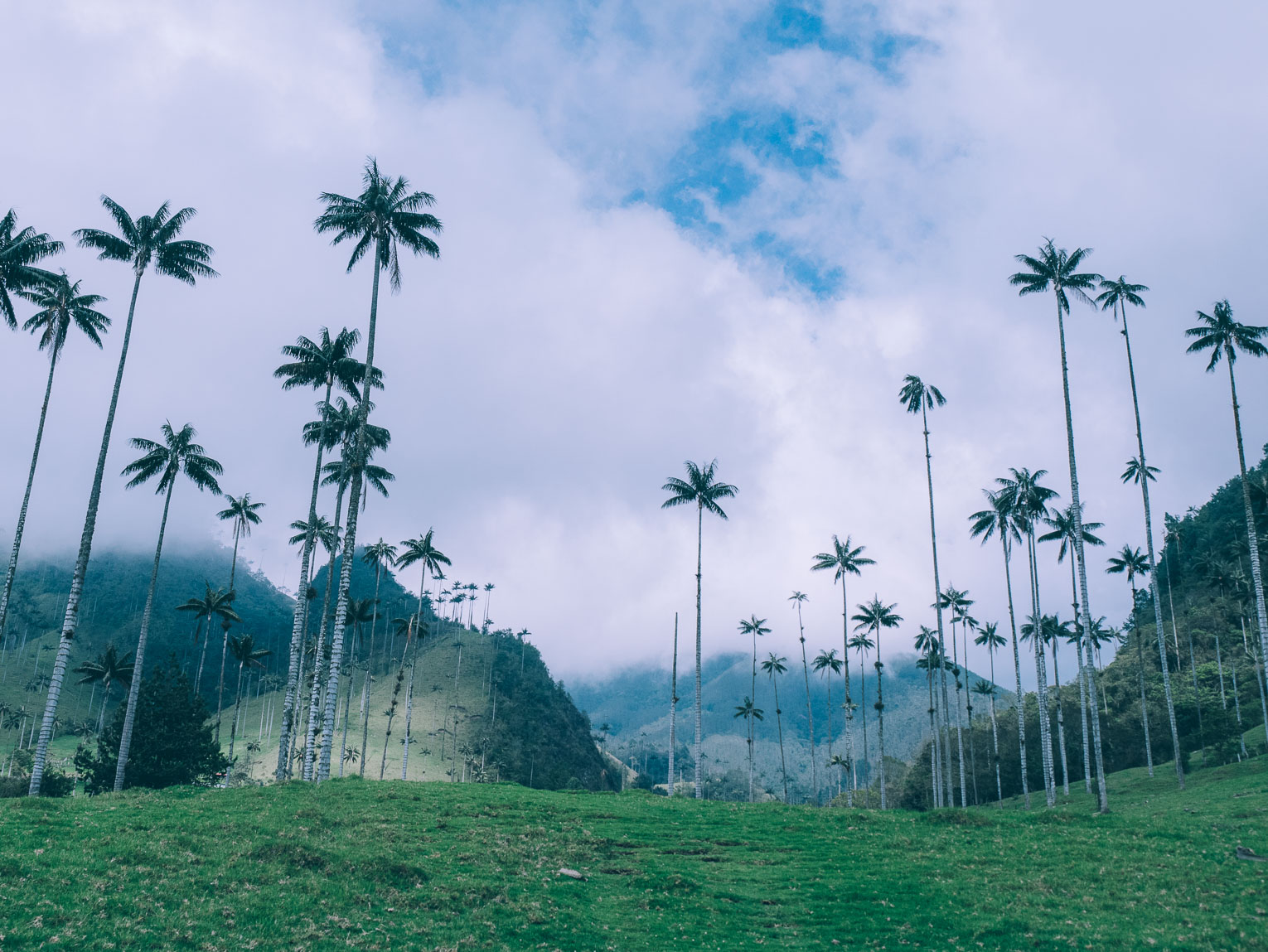 Cocora Valley Travel Guide Hiking In One Of The Most Beautiful Cocora Valley Travel Guide Hiking In One Of The Most Beautiful
