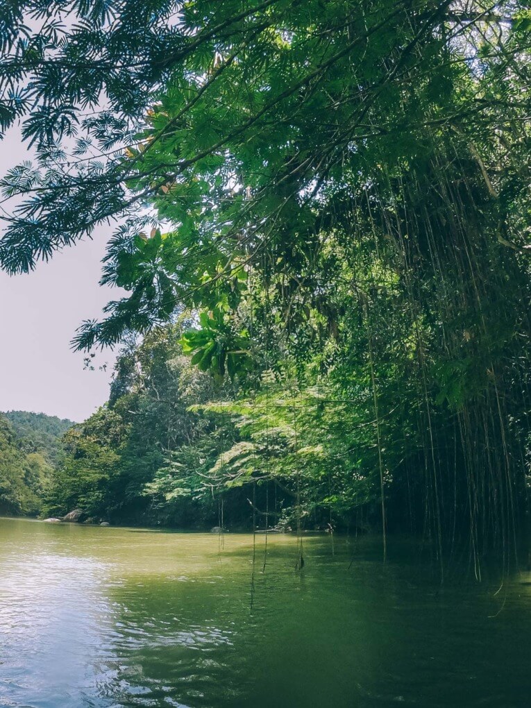Rafting in Medellin: an opportunity to discover the forgotten region of eastern Antioquia
