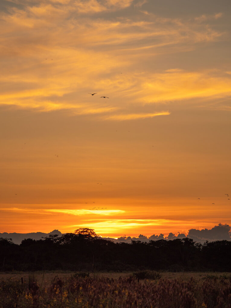 Visit Hato Las Gaviotas travel guide: Natural reserve in Casanare