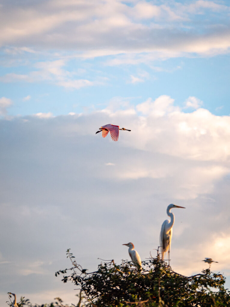 Visit Hato Las Gaviotas travel guide: Natural reserve in Casanare