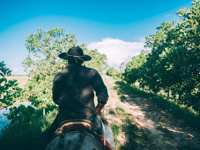 Visit Hato Las Gaviotas travel guide: Natural reserve in Casanare