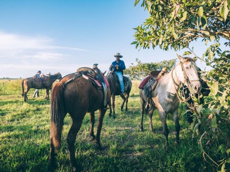 Visit Hato Las Gaviotas travel guide: Natural reserve in Casanare