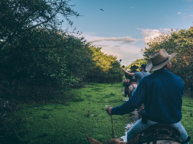 Visit Hato Las Gaviotas travel guide: Natural reserve in Casanare