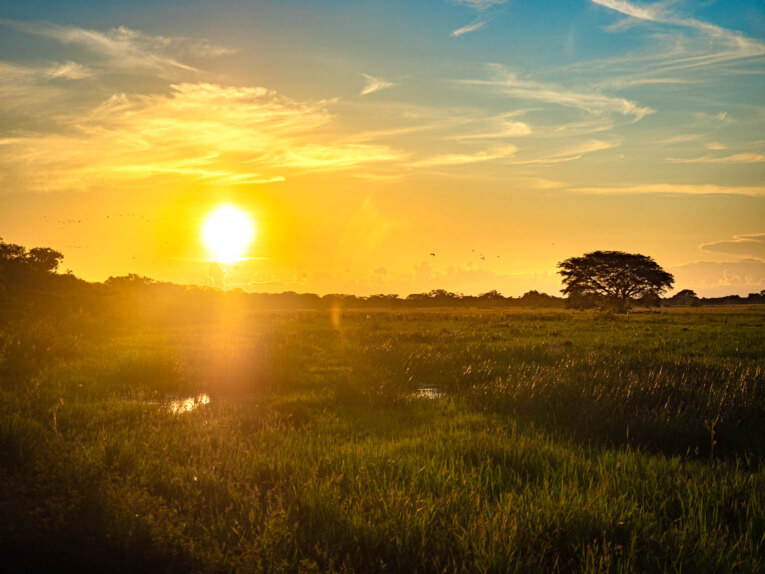 Visit Hato Las Gaviotas travel guide: Natural reserve in Casanare