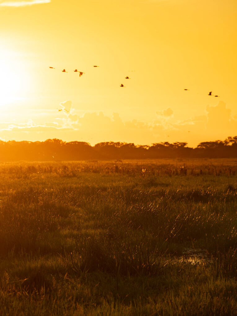 Visit Hato Las Gaviotas travel guide: Natural reserve in Casanare