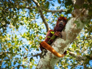 Visit Hato Berlin travel guide: Natural reserve in Casanare