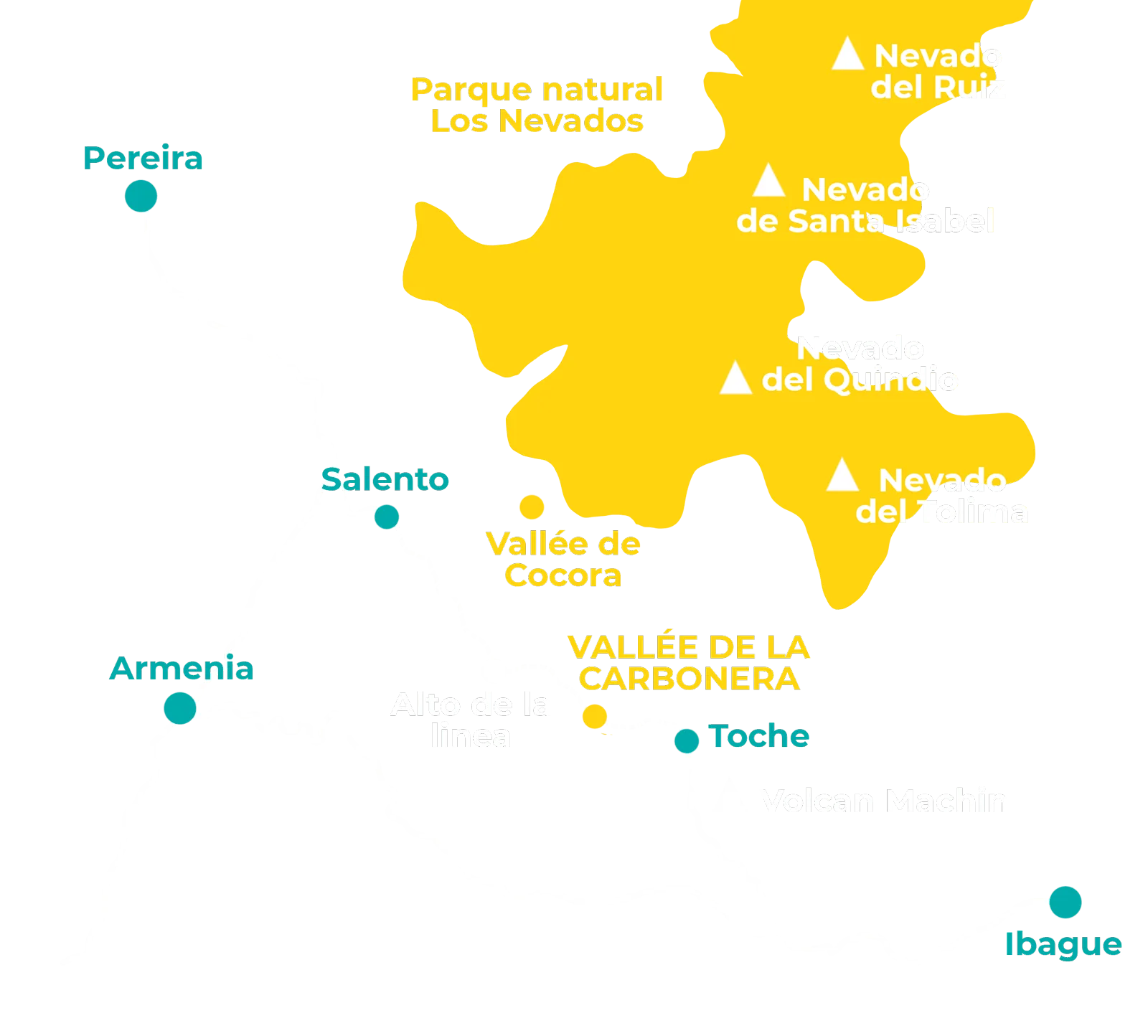 Vallée de la Carbonera (Tochecito), la plus grande forêt de palmiers de cire de Colombie