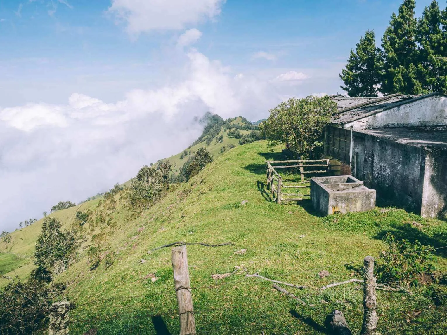 Carbonera Valley travel guide: visit the largest wax palm forest Carbonera Valley travel guide: visit the largest wax palm forest