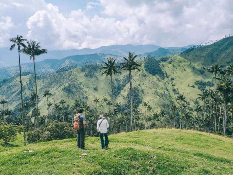 Vallée de la Carbonera (Tochecito), la plus grande forêt de palmiers de cire de Colombie