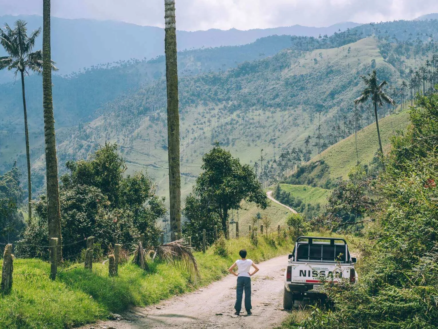 Carbonera Valley travel guide: visit the largest wax palm forest Carbonera Valley travel guide: visit the largest wax palm forest
