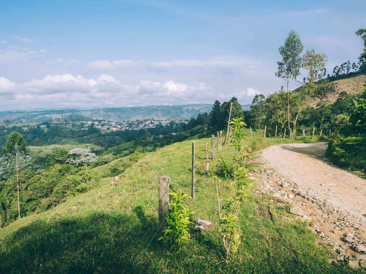 Carbonera Valley travel guide: visit the largest wax palm forest Carbonera Valley travel guide: visit the largest wax palm forest