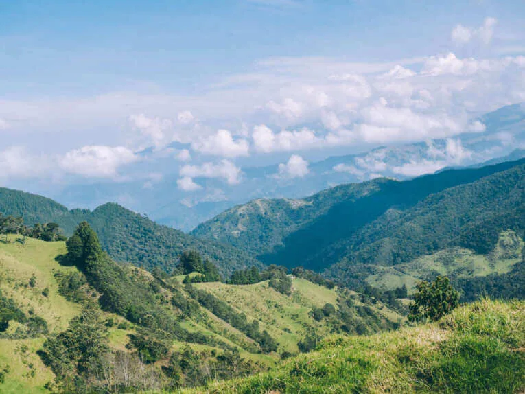 Vallée de la Carbonera (Tochecito), la plus grande forêt de palmiers de cire de Colombie
