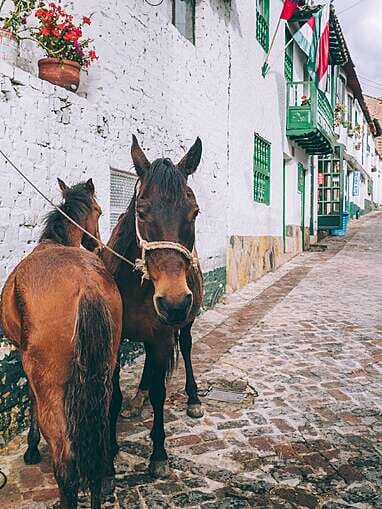 Que faire à Mongui, beau village de Colombie