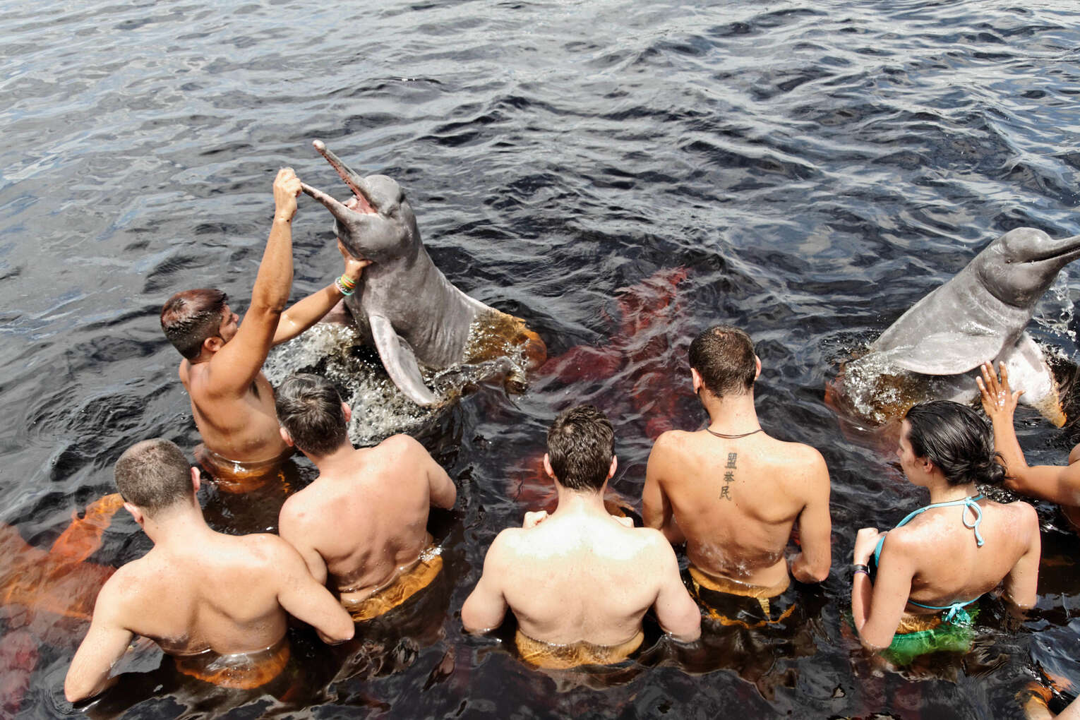 Amazon river dolphins travel guide: Where to see pink river dolphins in Colombia
