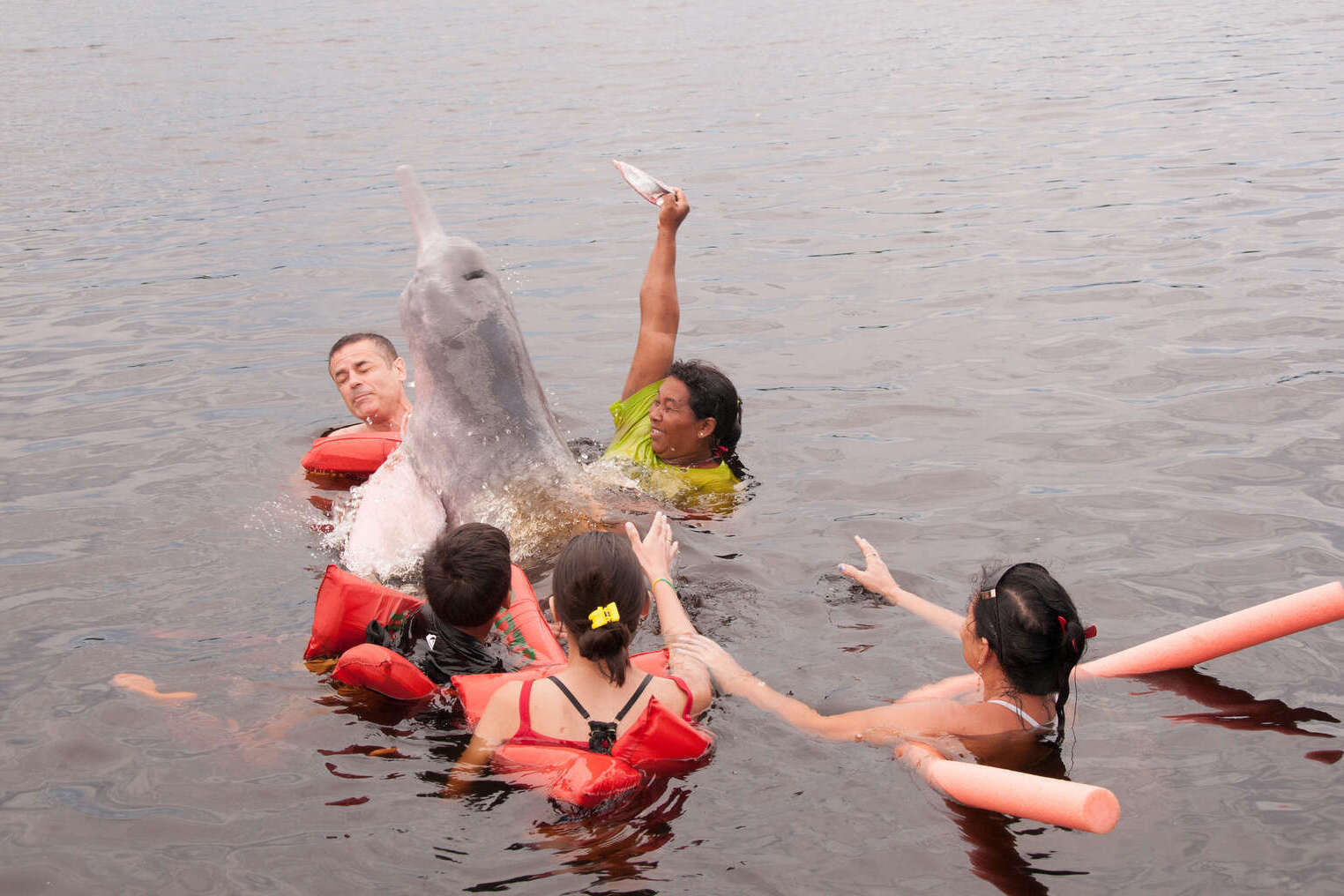 Amazon river dolphins travel guide: Where to see pink river dolphins in Colombia