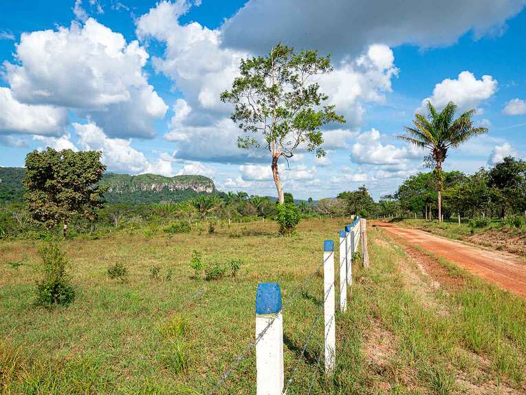 Visit San José del Guaviare travel guide: the gateway to Amazonia