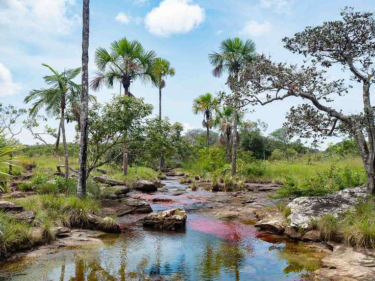 Caño Sabana, the river of 5 colors in Guaviare (the small caño cristales)