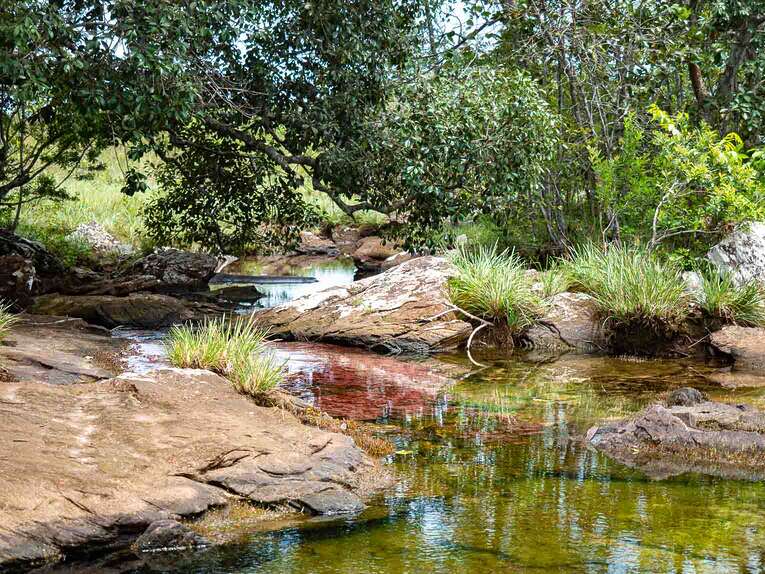 Caño Sabana, the river of 5 colors in Guaviare (the small caño cristales)