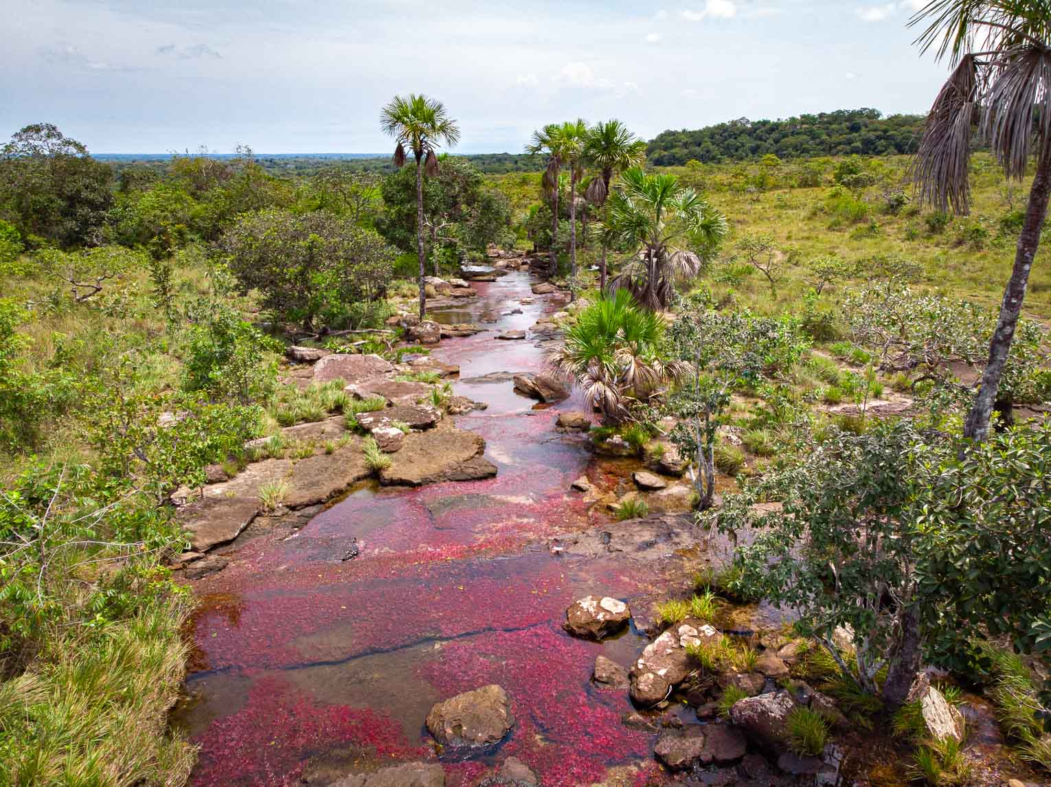 Caño Sabana, the river of 5 colors in Guaviare (the small caño cristales)