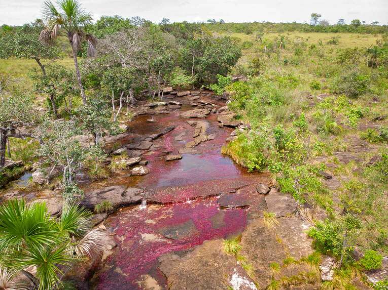 Caño Sabana, the river of 5 colors in Guaviare (the small caño cristales)