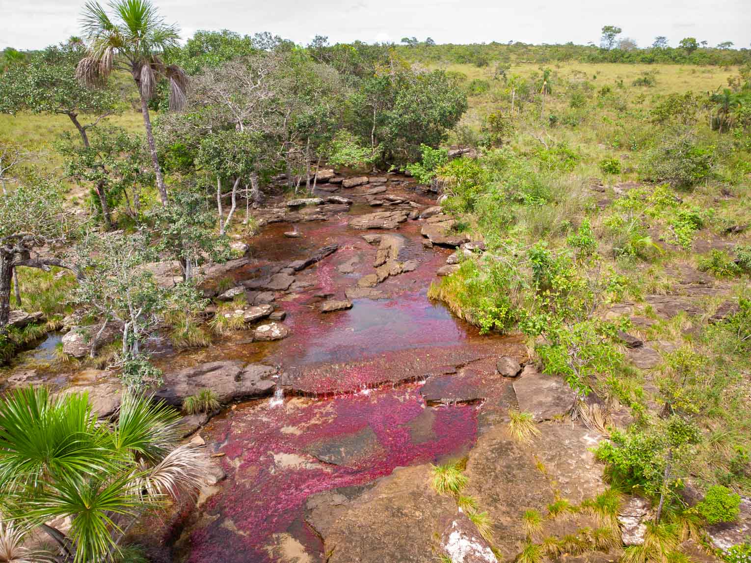 Caño Sabana, the river of 5 colors in Guaviare (the small caño cristales)