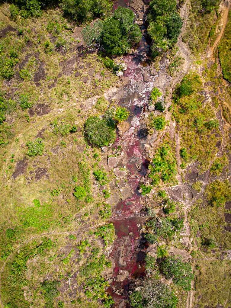 Caño Sabana, the river of 5 colors in Guaviare (the small caño cristales)