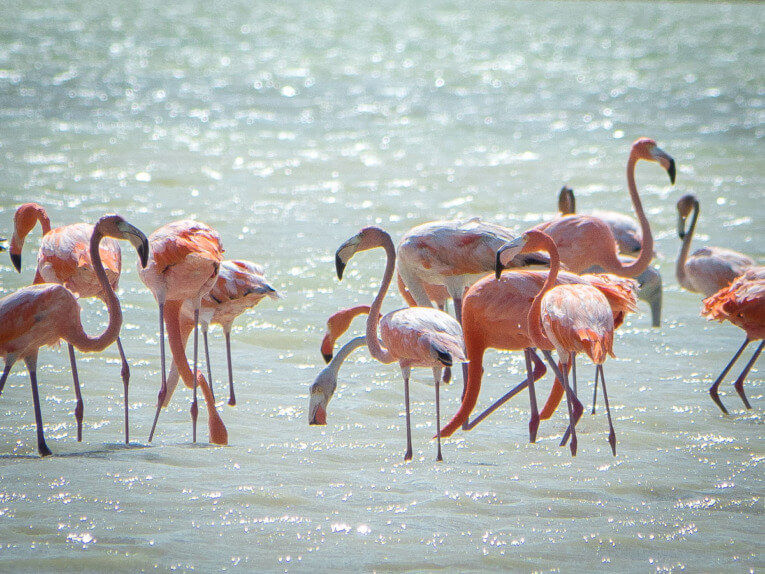 Guajira desert classic Tour: our travel guide and feedback