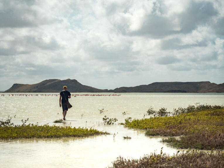 Guajira desert classic Tour: our travel guide and feedback