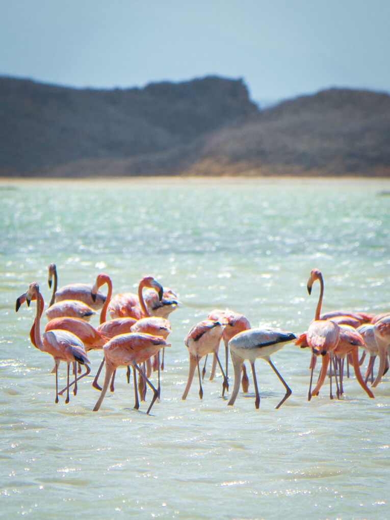 Guajira desert classic Tour: our travel guide and feedback
