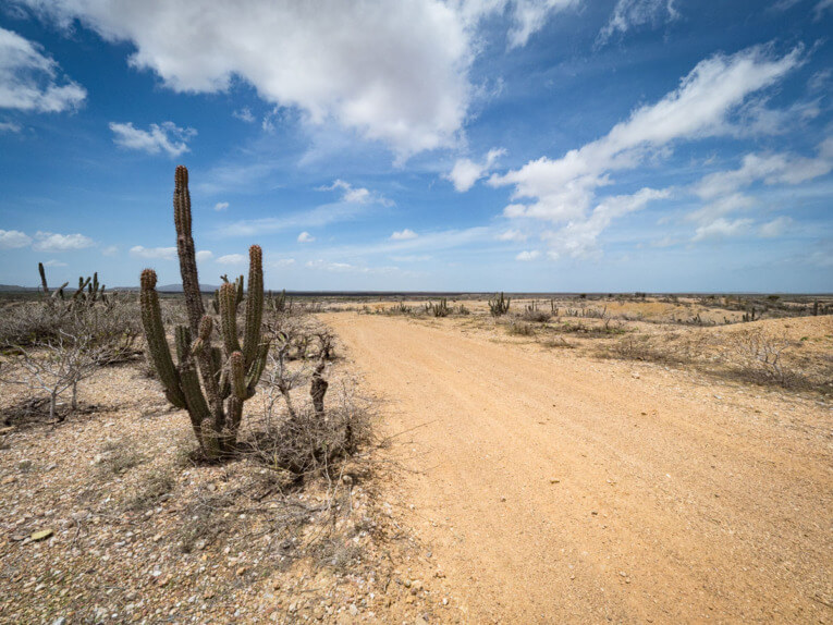 Guajira desert classic Tour: our travel guide and feedback