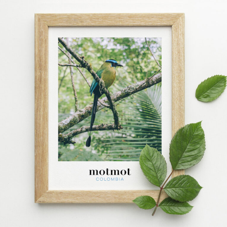 Our Colombia photography art prints (originals) to decorate your home