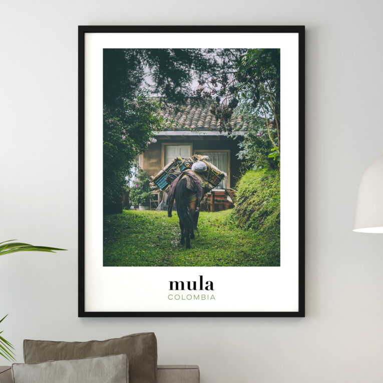 Our Colombia photography art prints (originals) to decorate your home