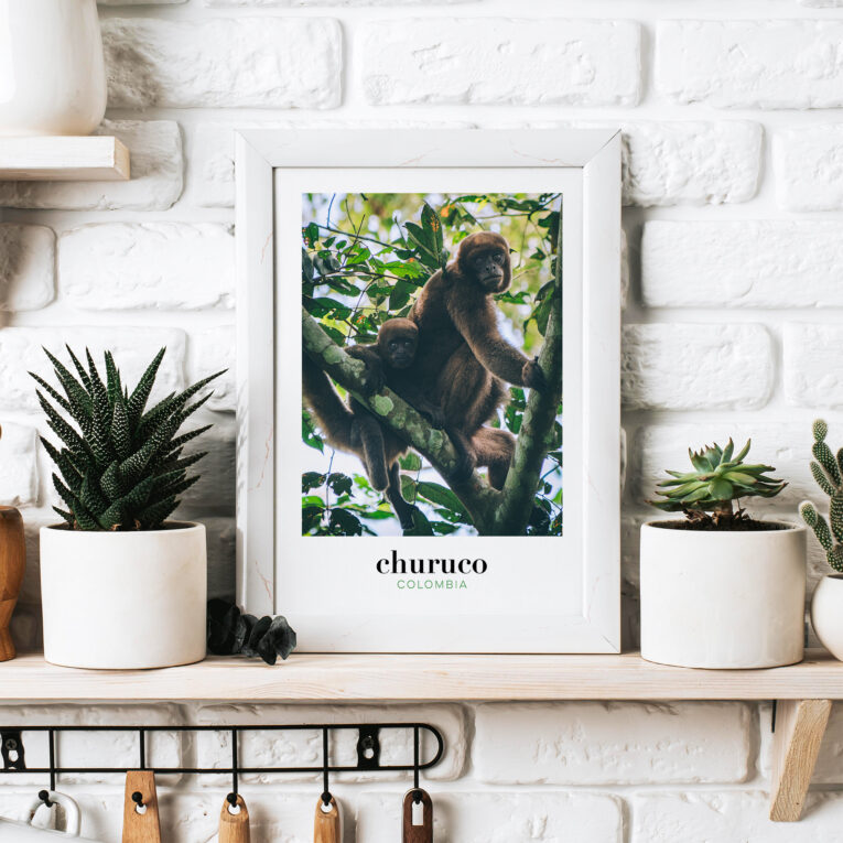Our Colombia photography art prints (originals) to decorate your home