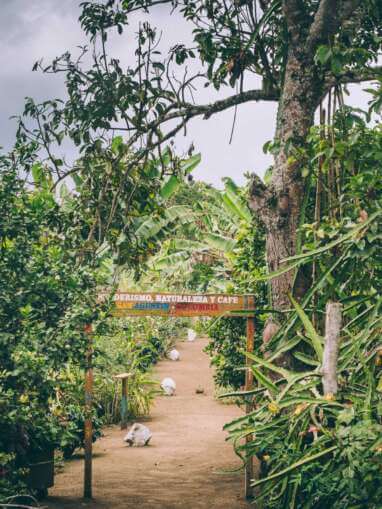 Que faire à San Agustin