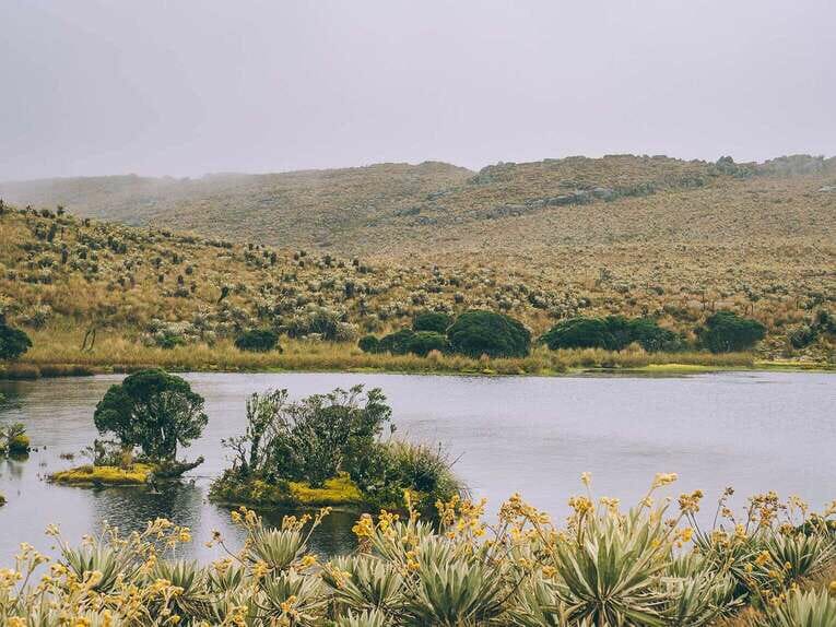 Trek to Paramo de Sumapaz, a beautiful hike around Bogota