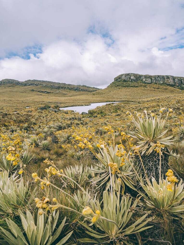 Trek to Paramo de Sumapaz, a beautiful hike around Bogota