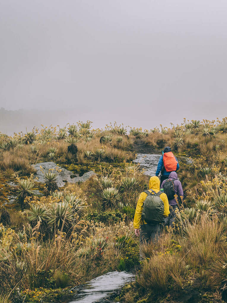 Trek to Paramo de Sumapaz, a beautiful hike around Bogota