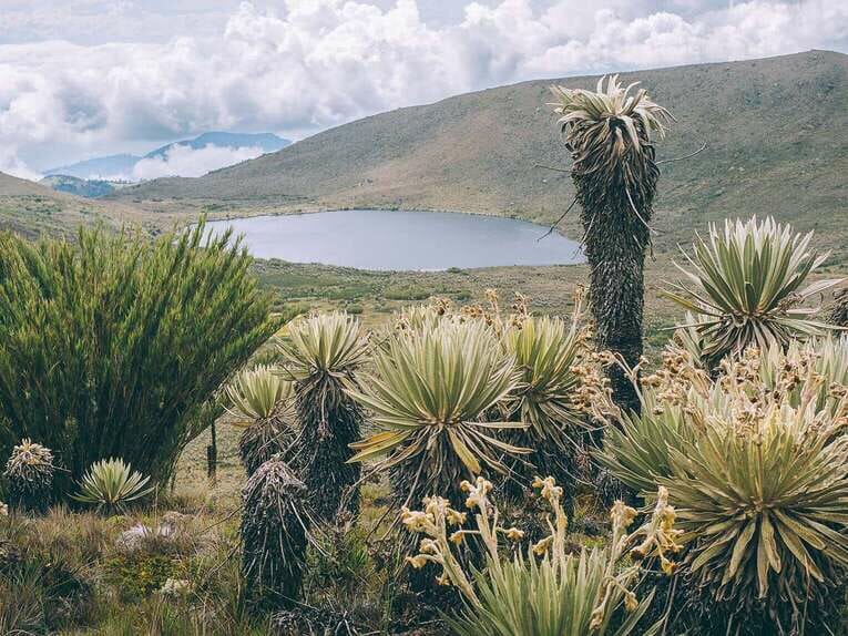 Trek to Paramo de Sumapaz, a beautiful hike around Bogota