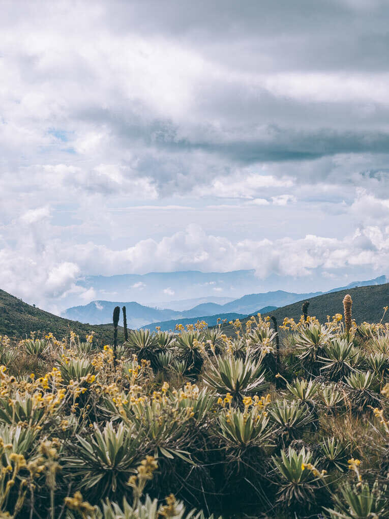 Trek to Paramo de Sumapaz, a beautiful hike around Bogota