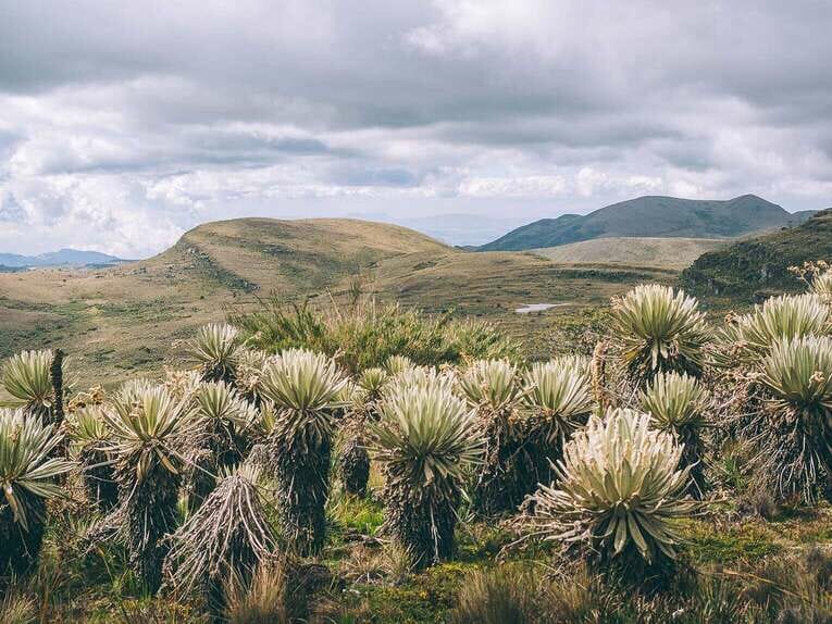 Trek to Paramo de Sumapaz, a beautiful hike around Bogota